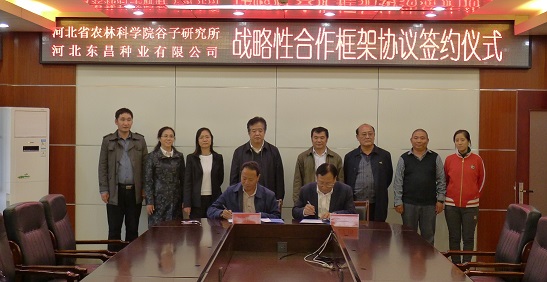 P1070243.jpg
