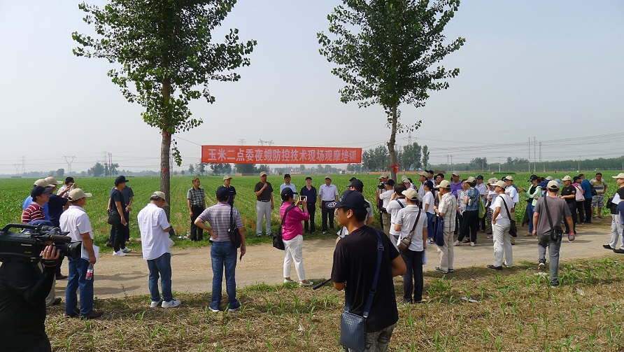P1050865.jpg