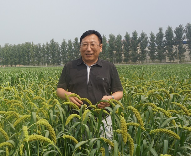 谷子研究所-程汝宏-育种室-正研-所长 (1).jpg