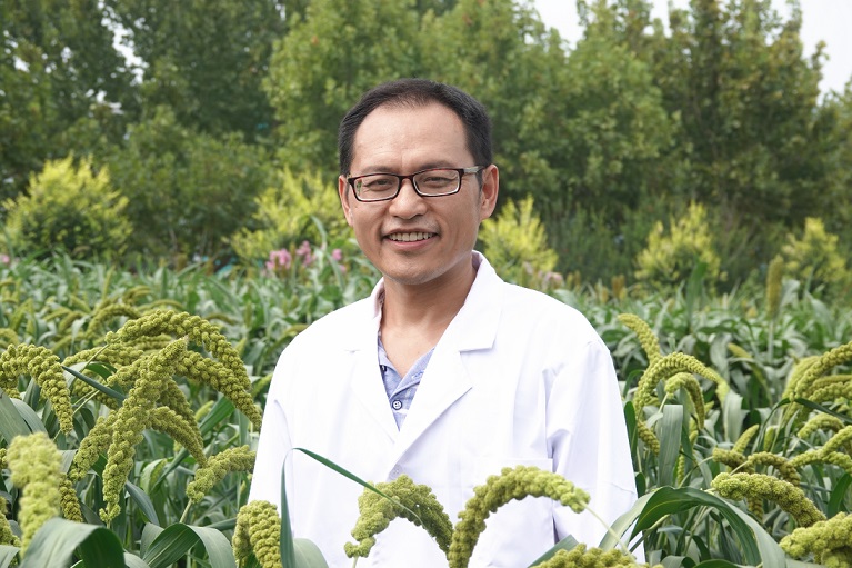 谷子研究所-李顺国-副所长主任-栽培与经济室-研究员.jpg