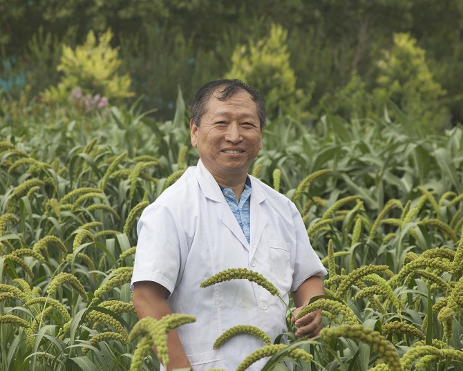 谷子研究所-全建章-植保室-研究员.jpg