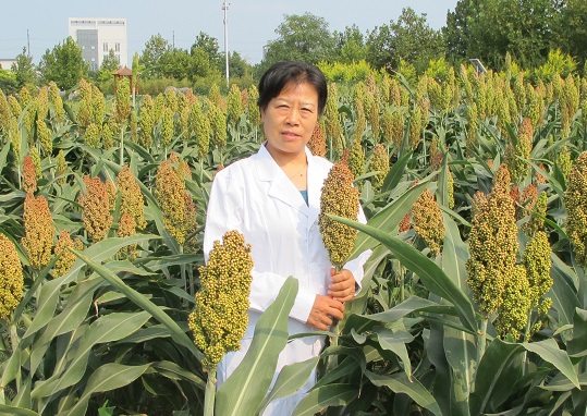 谷子研究所-籍贵苏-高粱室-研究员.jpg