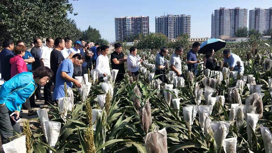 1567584089302085187.jpg 2019-8-15会议.jpg