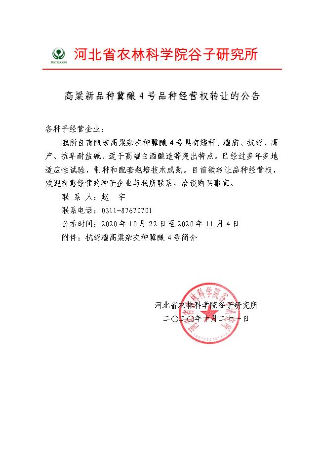 高粱新品种冀酿4号品种经营权转让的公告--章.jpg